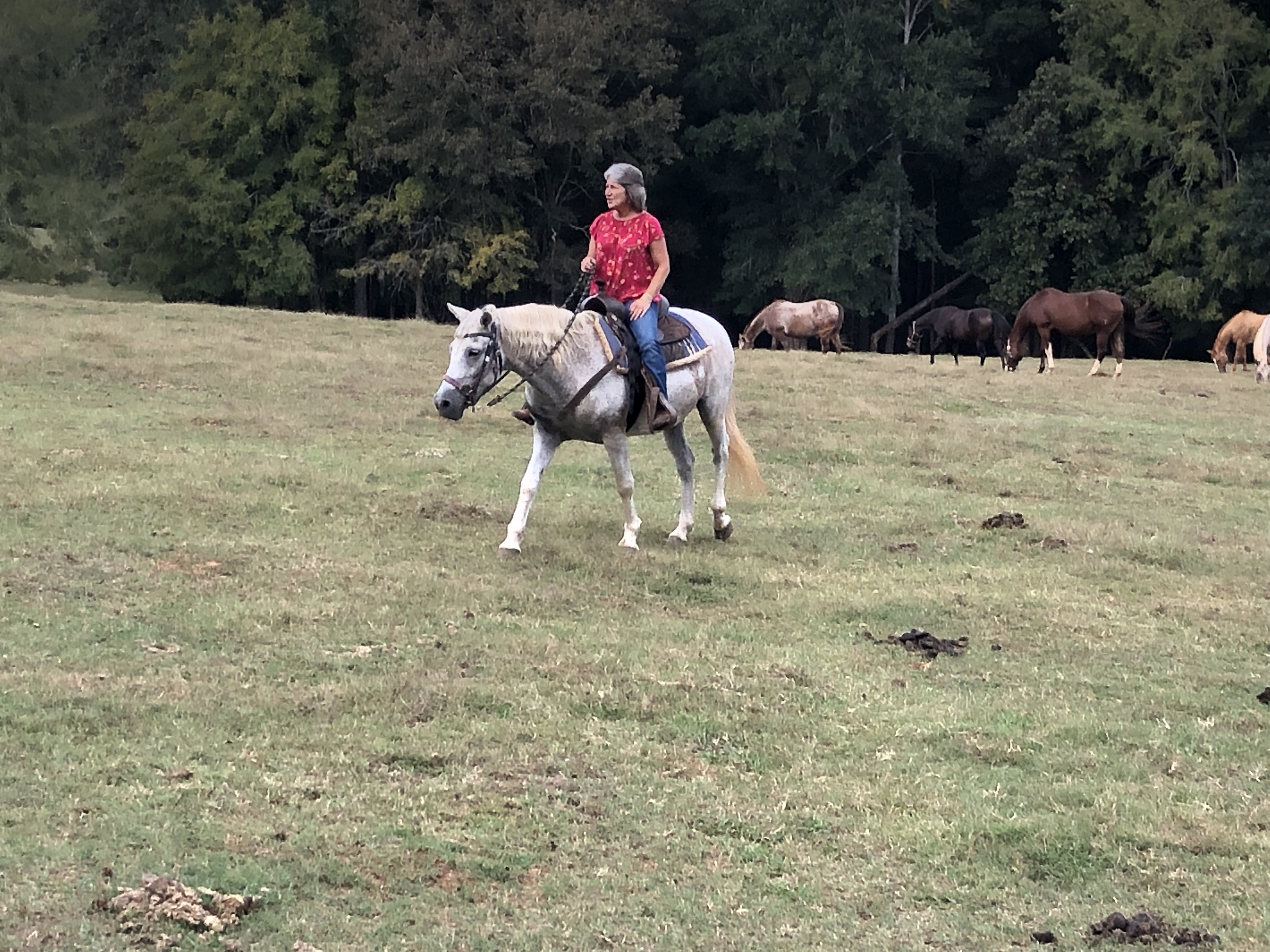 ./2021/07 - Southern Cross/IMG_4020.JPG